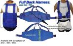 Full harness fighting belt